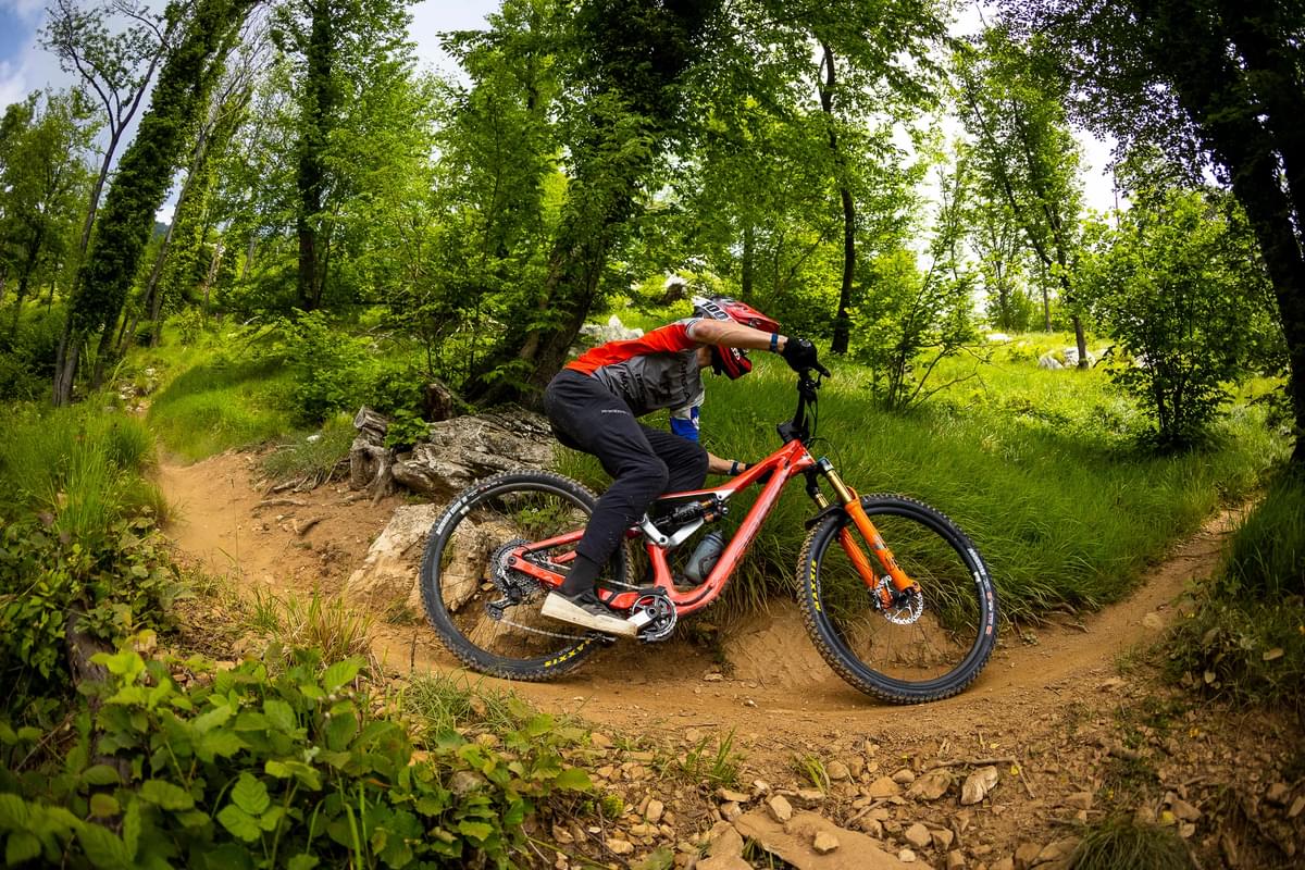 Rallon Action Medium 2