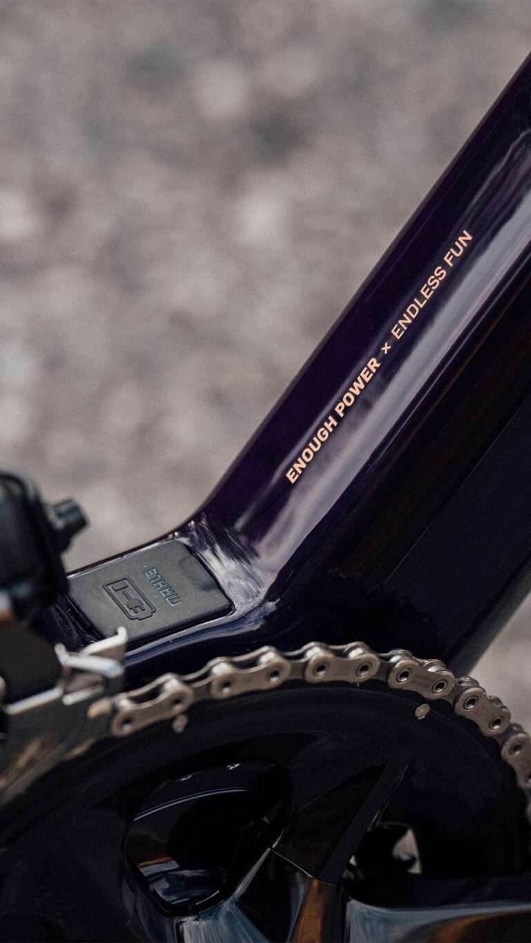 GAIN Bikecheck IgS 5 1 1