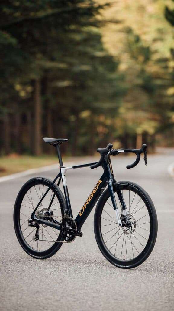 GAIN Bikecheck IgS 8 1