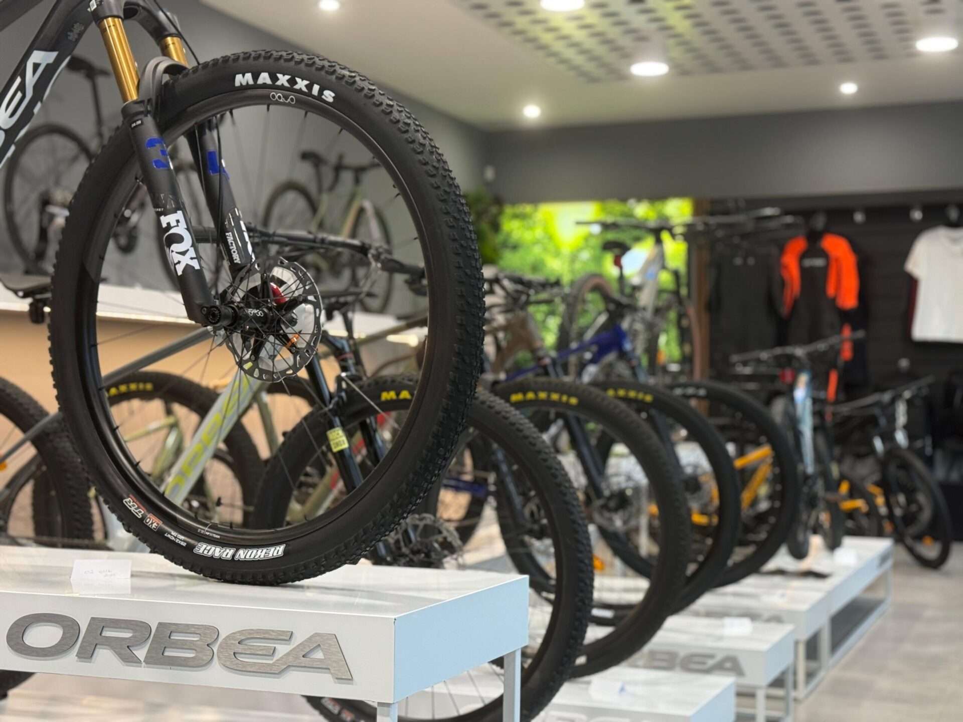 Zdjecie WhatsApp 2025 01 31 o 12.19.21 cd98ce41 scaled 1