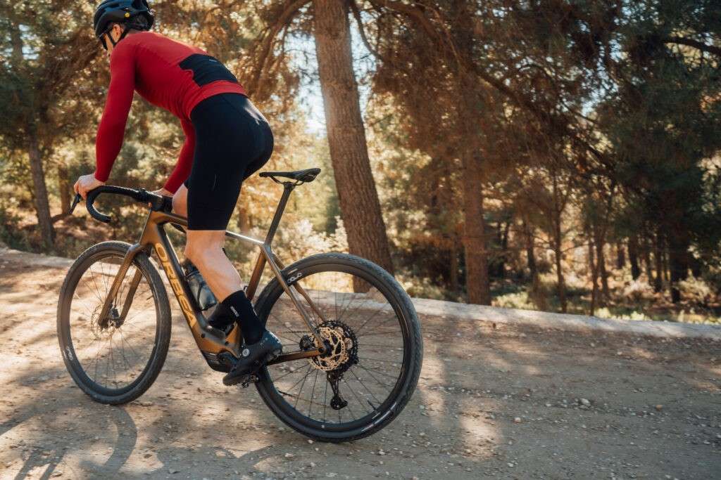 ORBEA DENNA25 100 1
