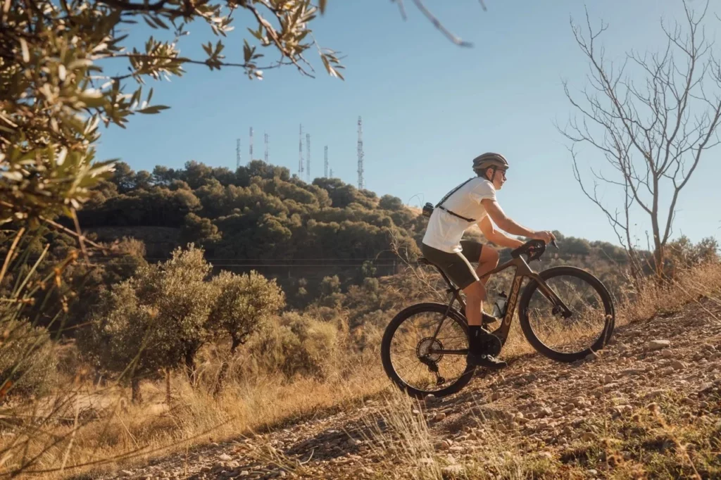 orbea denna 1