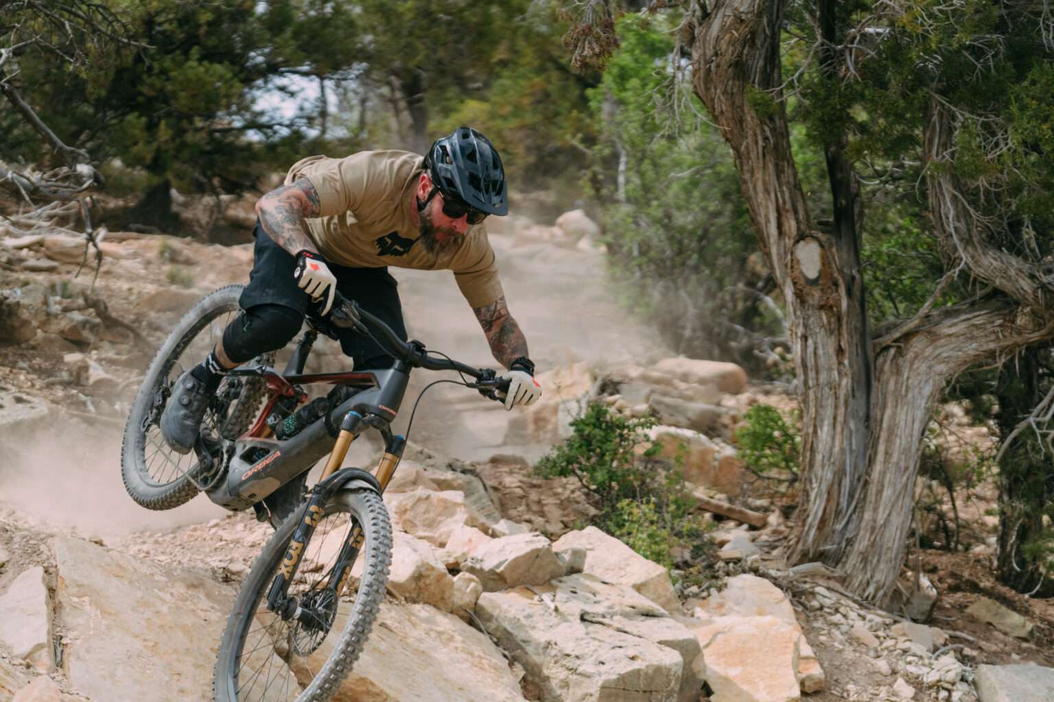 TLW Orbea Wild 3502