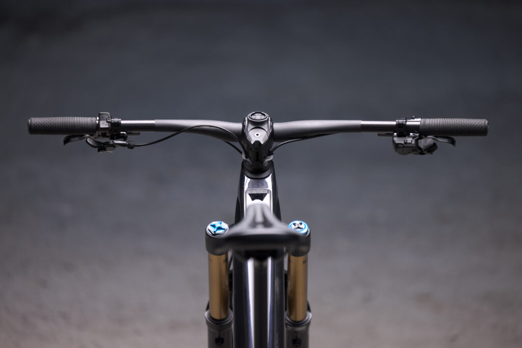 ORBEA WILD 29