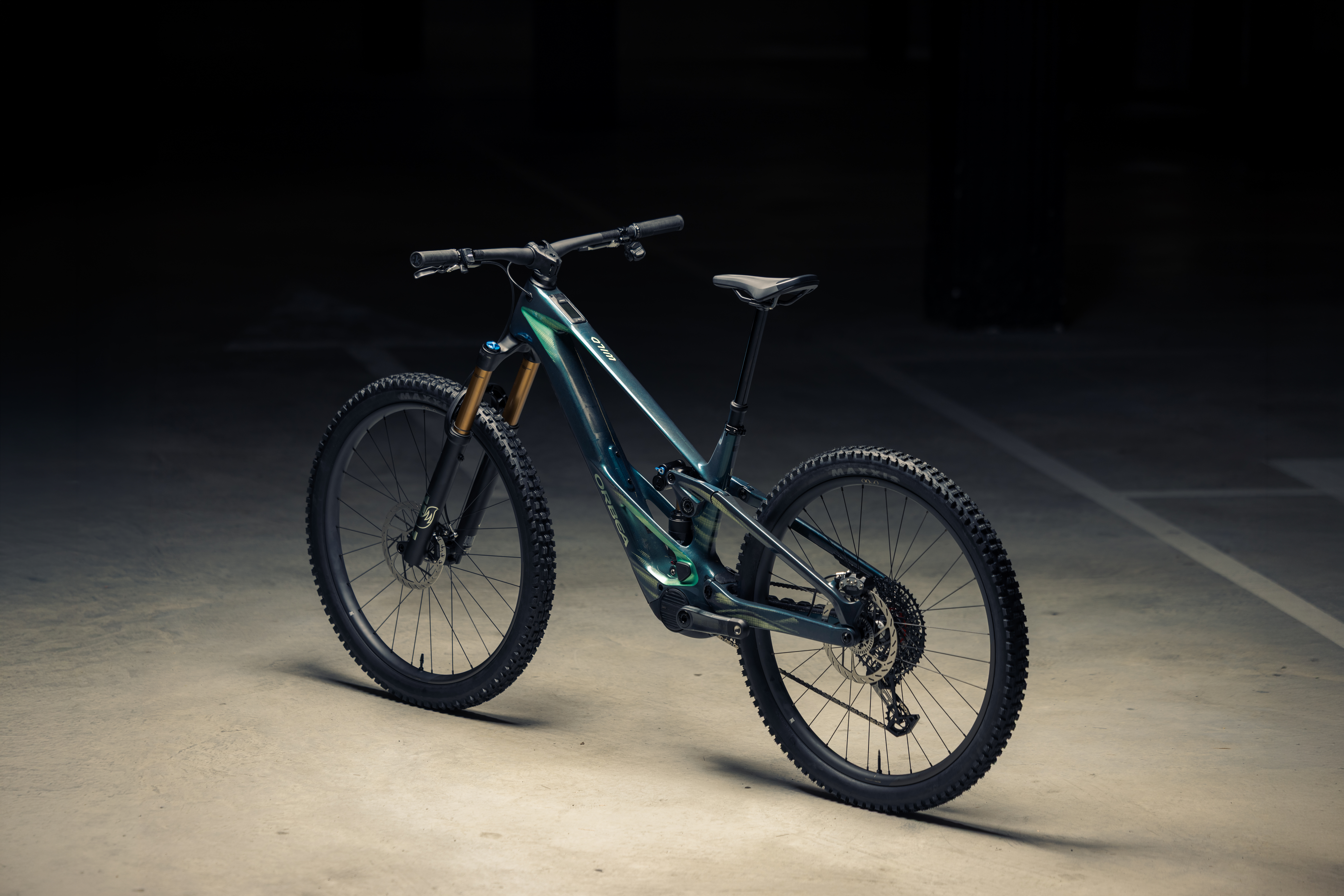 Orbea Wild 19