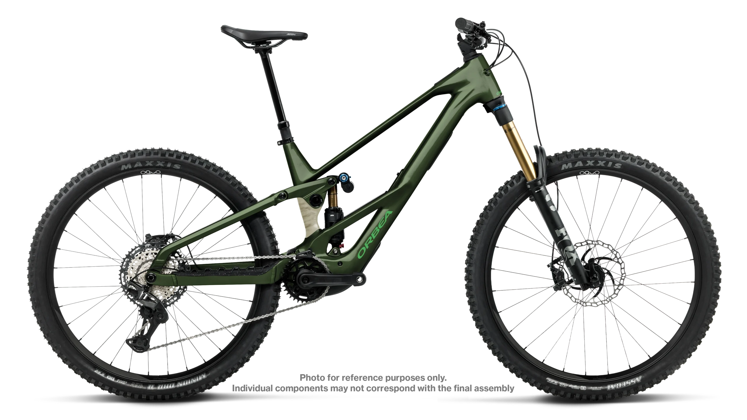 U310TTCC X9 SIDE WILD LT MULLET H10 scaled